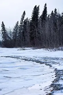 Delta Junction Prints: Edge of a frozen river covered in snow witb trees in the background on a cloudy winter day in interior Alaska