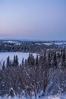 Hoof Prints: Edge of icy lake under pink sky on a winter evening near Delta Junction, Alaska