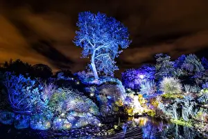 Illuminations Prints: Edinburgh Botanical Gardens