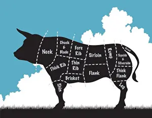 Sections Prints: Editable vector illustation of a cow silhouette showing the cuts of meat