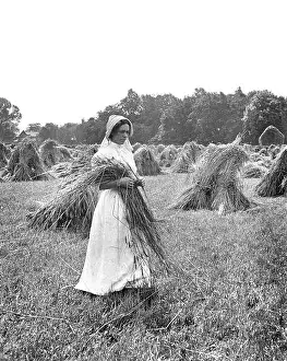 Farms Prints: Edwardian period country farm girl making hay 1900s