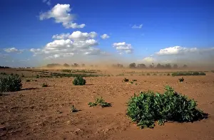 Arable Prints: Effects of soil erosion on farmland in Shottisham near Woodbridge Suffolk, UK