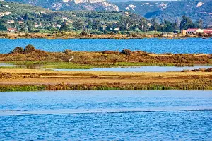 Messinia Prints: An egret stands in the marshy wetlands of Gialova Lagoon