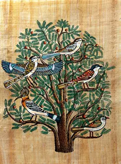 Egyptian Papyrus Painting Of The Tree Of Life