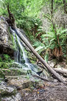 Urlaub Prints: Ein paradiesischer Wasserfall auf der Insel Tasmanien in Australien