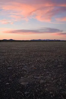 Biosphere Reserve Prints: El Pinacate, Mpo. Puerto Peñasco, Sonora, Mexico