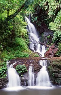 Elabana Falls Lamington National Park Queensland Australia