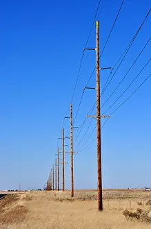 Commodity Prints: electric pole