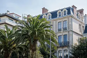 Coastal City Prints: Elegant european building with classic architecture framed by palm trees in sunny coastal city street scene