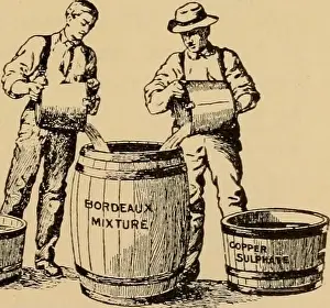 Elementary principles of agriculture; a text book for the common schools