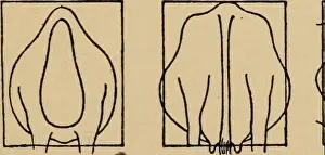 Farm Animals Prints: Elementary principles of agriculture; a text book for the common schools