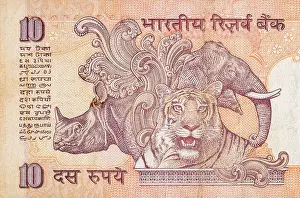 Paying Prints: Elephant Rhinoceros and tiger depicted on Indian bank note ten rupees