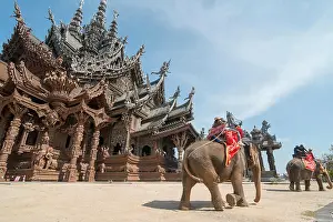 Chonburi Prints: a elephant tour at the Wood Sanctuary of Truth Temple in the city of Pattaya in the Provinz Chonburi in Thailand