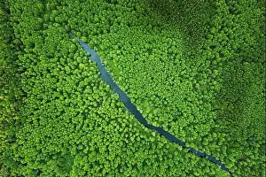 Elevated View Of Green Small Bog Marsh Swamp River Wetland And Green Forest Landscape In Summer Day. Attitude View. Forest In Bird's Eye View