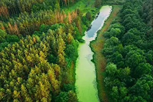 Elevated View Of Green Small Bog Marsh Swamp Wetland And Green Forest Landscape In Sunny Summer Day. Attitude View. Forest In Bird's Eye View