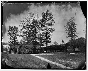 Maryland Prints: Elk Mountain, Maryland. Signal tower, Civil War Photographs 1861-1865