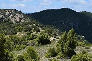 Karst Prints: Els Ports Natural Park, a limestone mountain massif at the border between Aragon and Catalonia