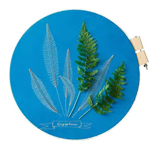Screw Prints: Embroidery hoop with blue embroidered fabric with fern leaves and dryopteris fern isolated on white
