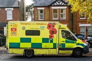 Decal Prints: An emergency ambulance of the London Ambulance Service NHS Trust with poppy design for Remembrance Day parked in south