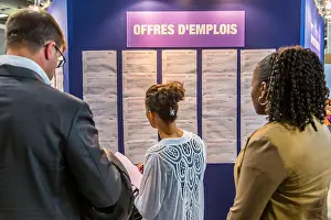 EMPLOYMENT REFERRALS