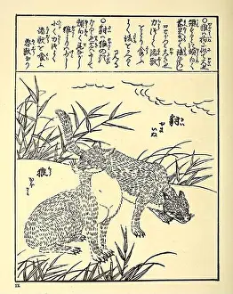 Reflecting Prints: Encyclopédie, Japonaise, Leyde