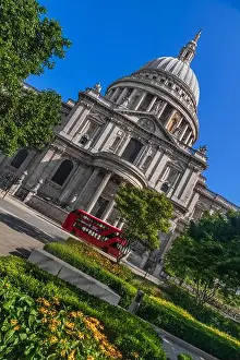 Domed Prints: England, London, View of St Paul's Cathedral from Carter Lane Gardens with iconic red London bus passing by