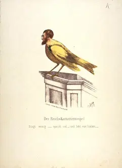 Exaggerated Prints: English: caricature of w:de:Gustav Adolph Rösler