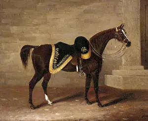 Wellington Prints: English: Copenhagen, the Duke of Wellington's battle charger