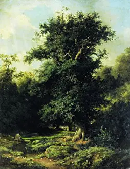 Naturalism Prints: English: Old Oak by Lev Kamenev