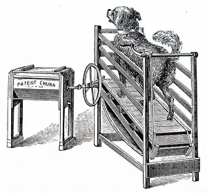Running Prints: Engraving depicting a butter churn powered by a dog running on a treadmill