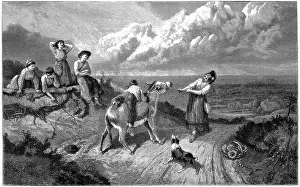 Donkey Prints: Engraving of A donkey that wouldn't go