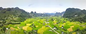 Enjoy a panoramic view of ripe rice fields from above in Cao Bang province, Vietnam