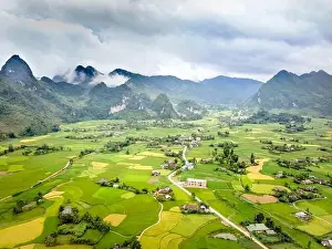 Fly Cam Prints: Enjoy a panoramic view of ripe rice fields from above in Cao Bang province, Vietnam