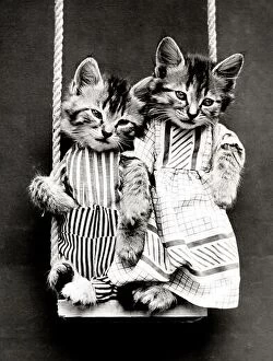 Kitsch Collection: Entitled: 'Swinging' shows two kittens wearing clothes on a swing