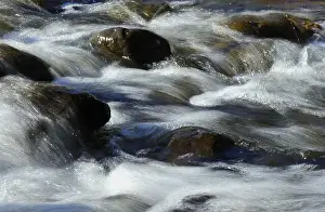 Sintra Prints: Environment. Fast-flowing crystal clear water flows by rocks in a large stream