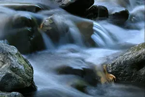 Environment. Fast-flowing crystal clear water flows by rocks in a large stream