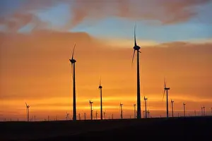 Eolian turbines park at sunet, warm light. Wind power concept