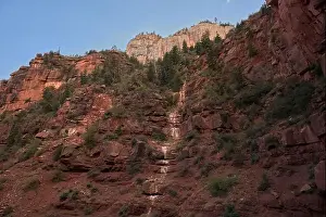 Red Wall Prints: Ephemeral Spring on Red Wall of Roaring Springs Canyon