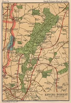 Essex Prints: EPPING FOREST. Vintage map. Wanstead Walthamstow Chingford 1932 old