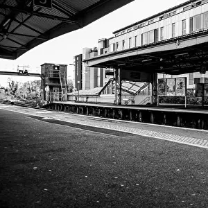 Rises Prints: Epsom Surrey England UK, November 7 2021