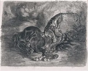 Eugène Delacroix - Cheval sauvage terrassé par un tigre (Wild Horse Felled by a Tiger)