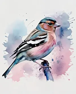 Finch Prints: Eurasian finch bird watercolor painting