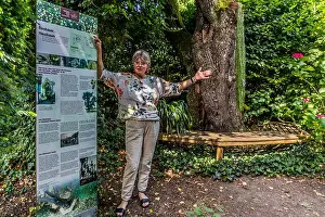 Explaining Prints: Eva Eberwein in the garden in front of the 200-year-old Thurgau cider pear tree