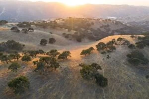 Aerial Landscape Collection: Evening sunlight shines on the rolling hills in Northern California. These beautiful