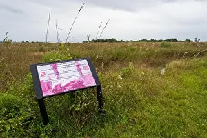 Airboat Tours Prints: The Everglades National Park, Florida, United States