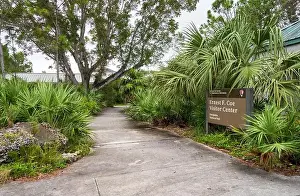 Kayaking Prints: The Everglades National Park, Florida, United States