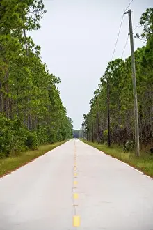 Kayaking Prints: The Everglades National Park, Florida, United States
