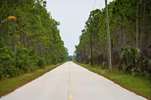 Kayaking Prints: The Everglades National Park, Florida, United States