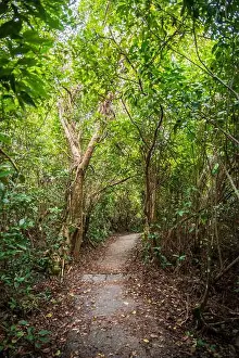 Kayaking Prints: The Everglades National Park, Florida, United States