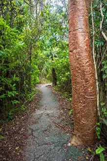 Kayaking Prints: The Everglades National Park, Florida, United States